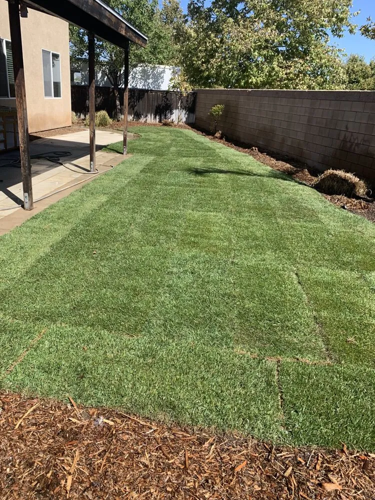 Trusted landscape installation in Lake Elsinore, CA by Professional Landscaping Co