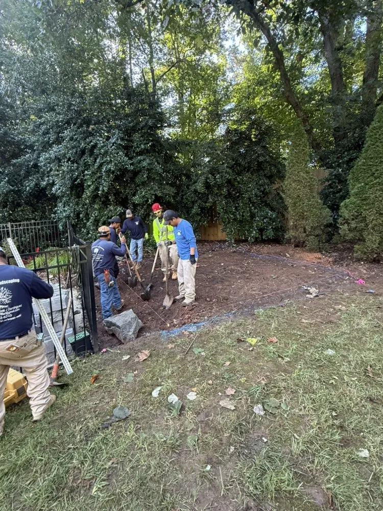 Custom landscape installation in Raleigh, NC - Professional Landscaping