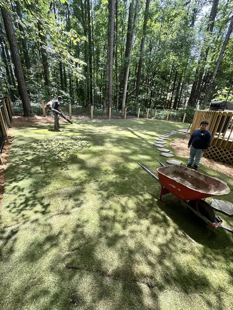 Custom yard cleanup service for beautiful yards in Raleigh, NC by Professional Landscaping