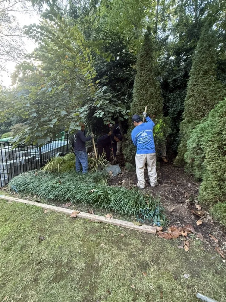 Professional residential landscaping in Raleigh, NC - Professional Landscaping