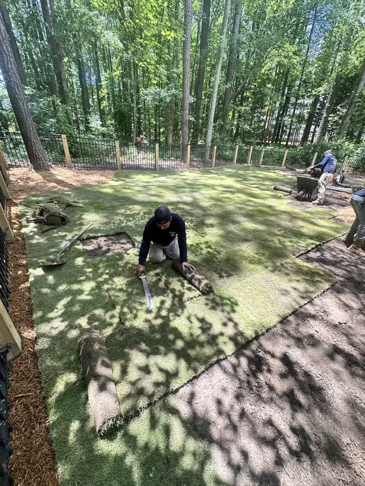 Trusted yard maintenance in Raleigh, NC by Professional Landscaping