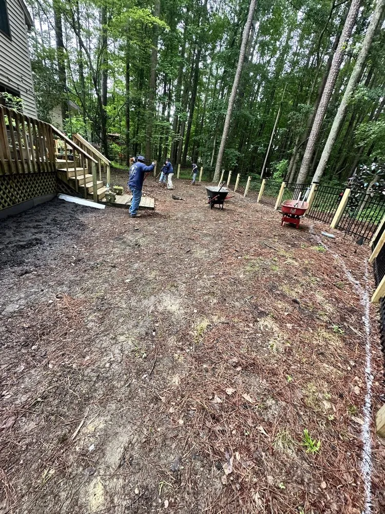 Custom yard cleanup service in Raleigh, NC - Professional Landscaping