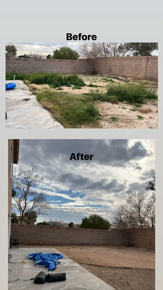 Custom yard cleanup service experts serving Las Vegas, NV - Professional Landscaping Services