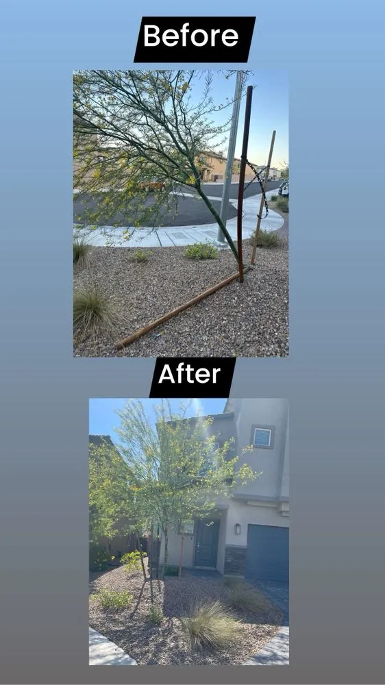 Top-rated lawn mowing service experts serving Las Vegas, NV - Professional Landscaping Services