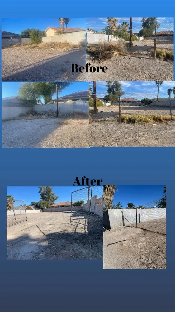 Trusted residential landscaping in Las Vegas, NV by Professional Landscaping Services