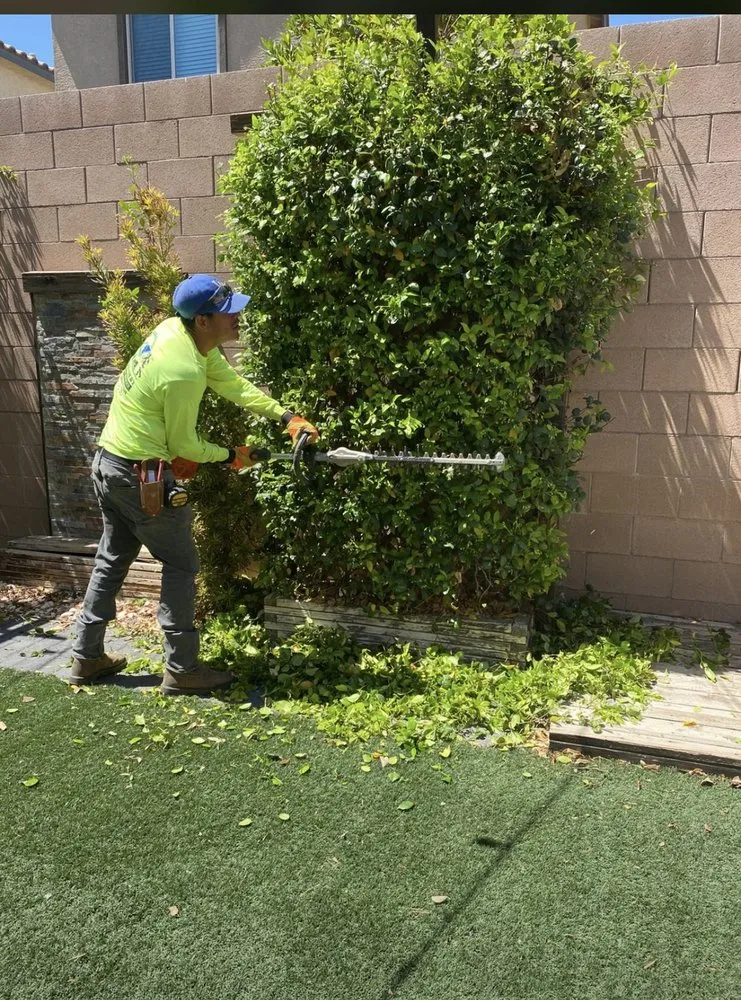 Top-rated landscaping services for homes across Las Vegas, NV - Professional Landscaping Services