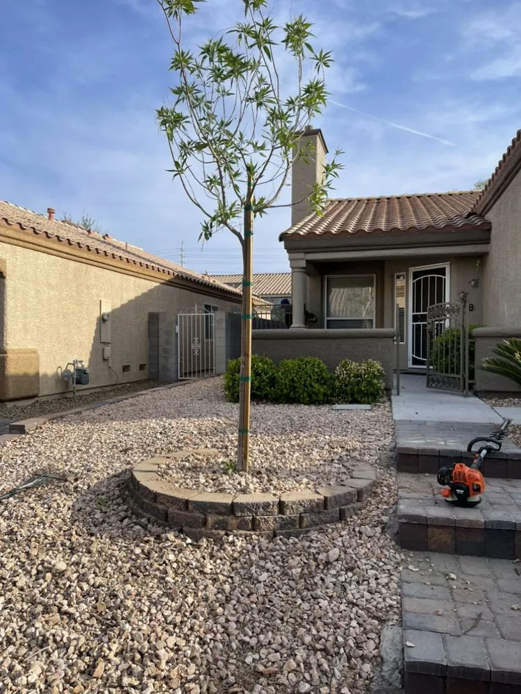 Trusted yard maintenance for homes in Las Vegas, NV by Professional Landscaping Services