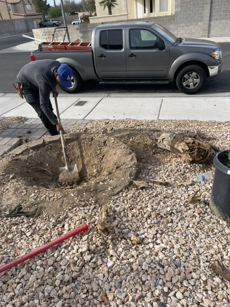 Professional yard maintenance in Las Vegas, NV - Professional Landscaping Services