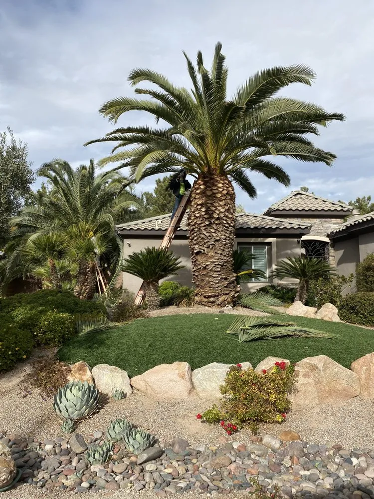 Custom yard maintenance in Las Vegas, NV - Professional Landscaping Services