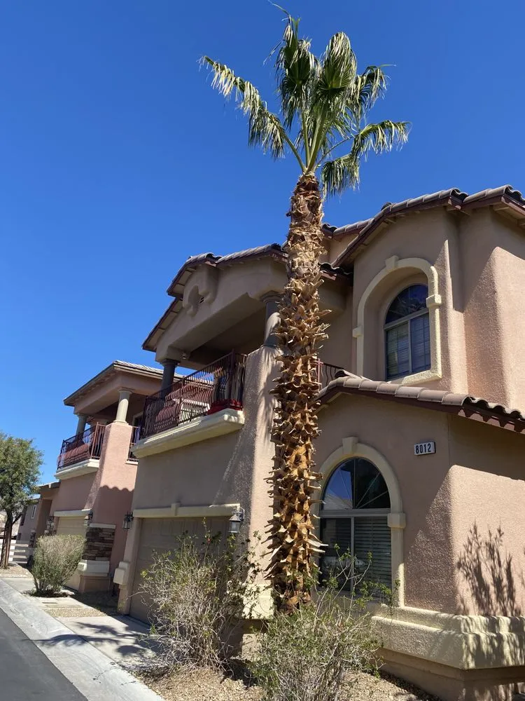 Top-rated landscape installation experts serving Las Vegas, NV - Professional Landscaping Services