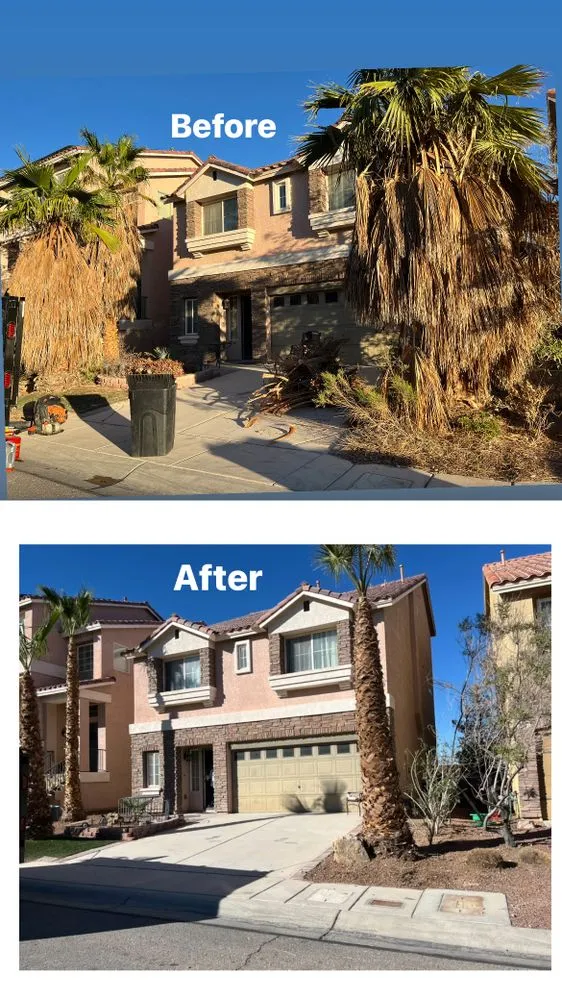 Custom outdoor landscaping in Las Vegas, NV by Professional Landscaping Services