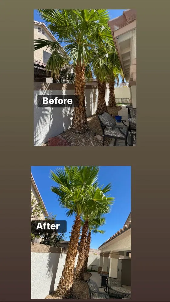 Local landscaping services for residential properties in Las Vegas, NV by Professional Landscaping Services