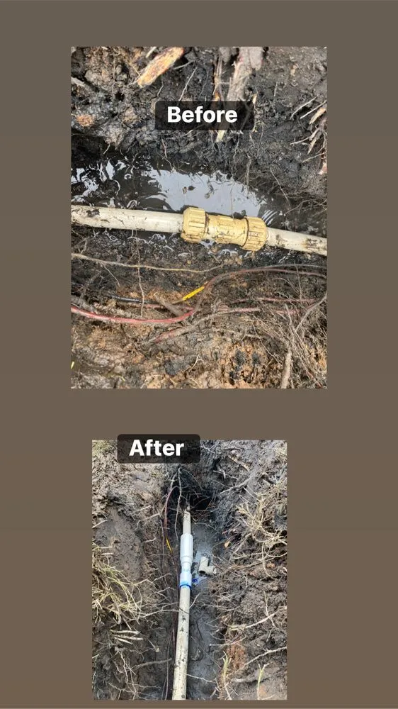 Custom yard maintenance for homes across Las Vegas, NV - Professional Landscaping Services