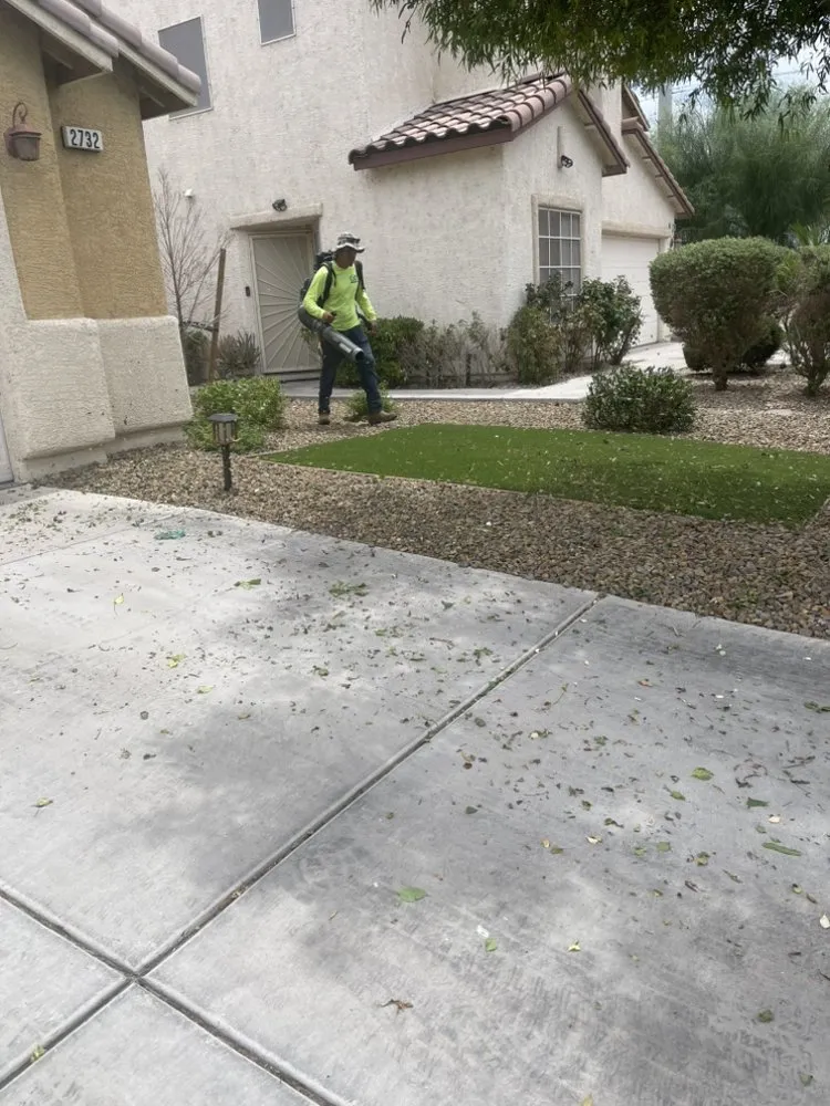 Reliable residential landscaping with custom design in Las Vegas, NV by Professional Landscaping Services