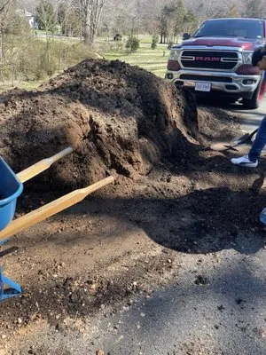 Professional Landscaping Services