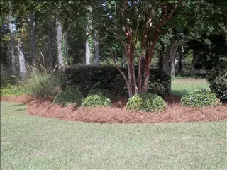 Top-rated yard cleanup service in Lexington, SC - Professional Lawn Care & Pressure Washing