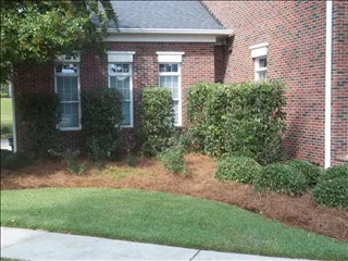 Trusted landscaping services experts serving Lexington, SC - Professional Lawn Care & Pressure Washing