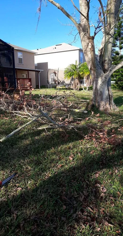 Local residential landscaping in Orlando, FL by Professional Lawn Care And Pressure Washing