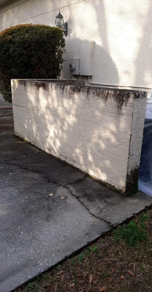 Expert landscaping services in Orlando, FL - Professional Lawn Care And Pressure Washing