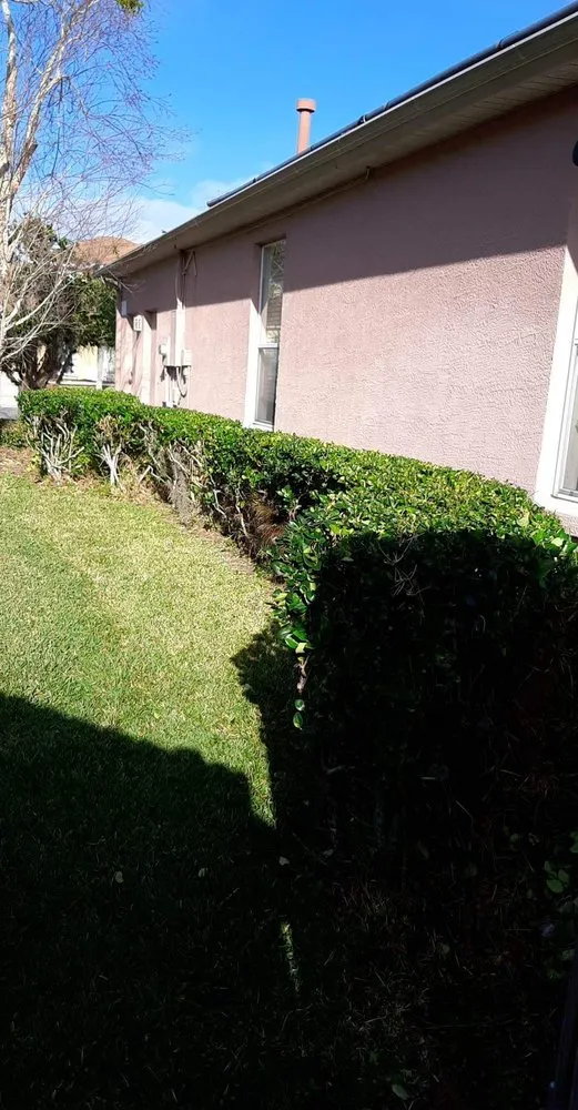 Top-rated landscaping services for homes across Orlando, FL - Professional Lawn Care And Pressure Washing