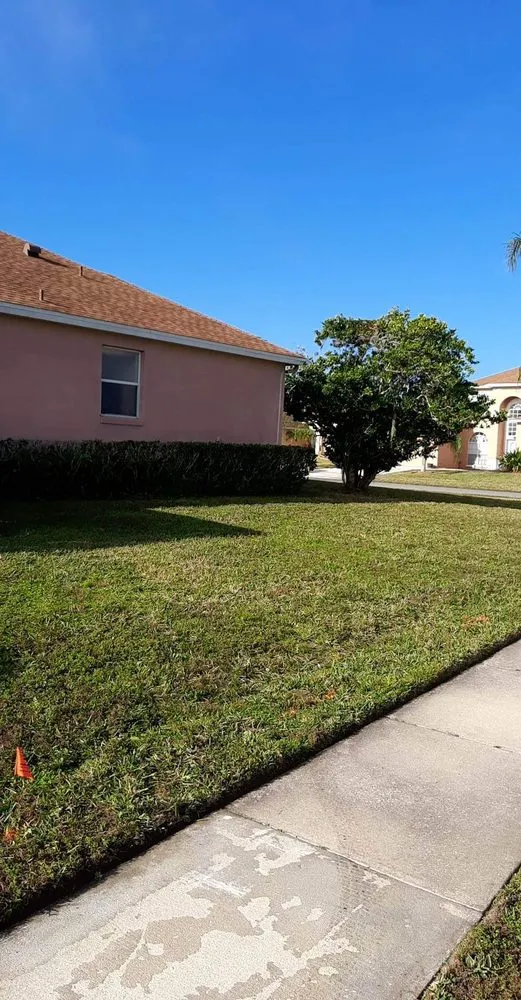 Affordable landscape design with custom design in Orlando, FL by Professional Lawn Care And Pressure Washing