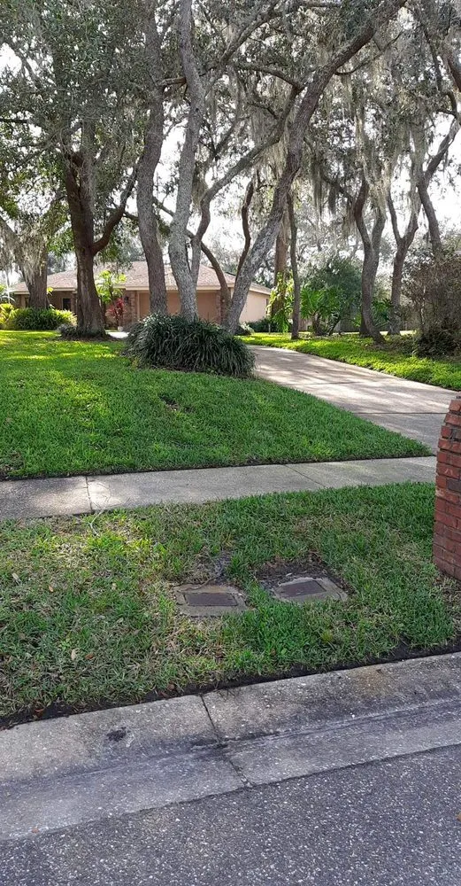 Reliable lawn care service near you in Orlando, FL by Professional Lawn Care And Pressure Washing