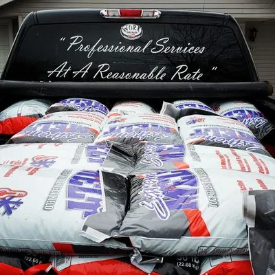 Professional Lawn Care Logo