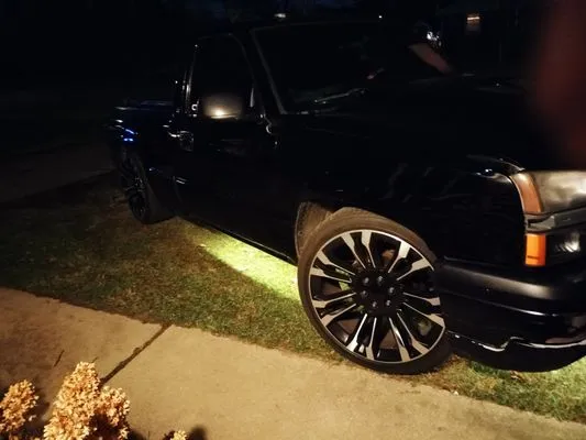 Professional Lawn Care Logo