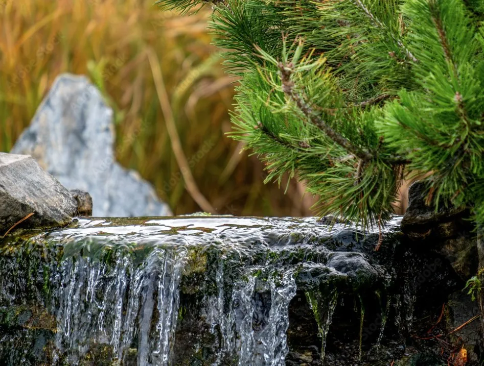 Top-rated yard cleanup service for year-round maintenance in Pittsburgh, PA by Professional Lawn Care