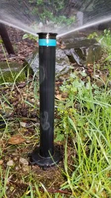 Professional Lawn Care Logo