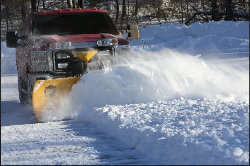 Expert yard maintenance experts serving Richmondville, NY - Professional Lawn Care Service