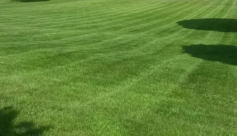 Expert lawn care service for outdoor upgrades in Richmondville, NY by Professional Lawn Care Service