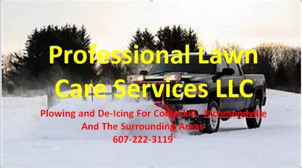 Professional Lawn Care Service