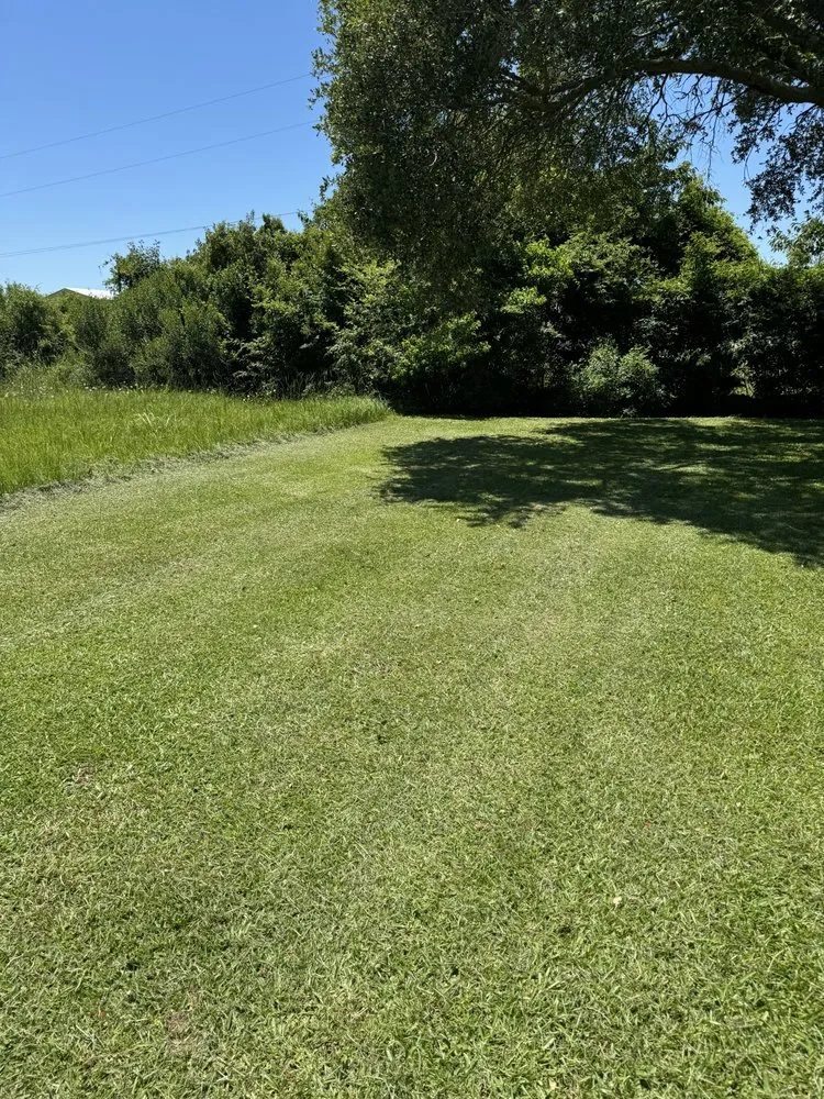 Reliable landscape design in Swansboro, NC - Professional Lawn Care Services of North Carolina