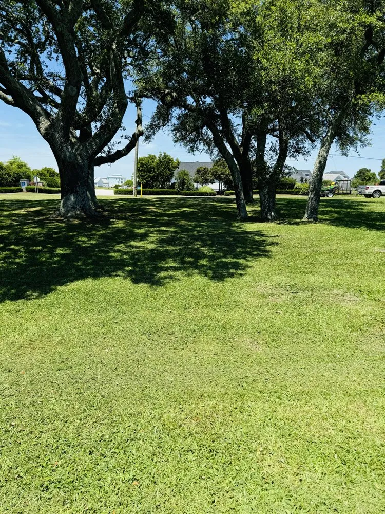 Trusted yard cleanup service for outdoor upgrades across Swansboro, NC - Professional Lawn Care Services of North Carolina
