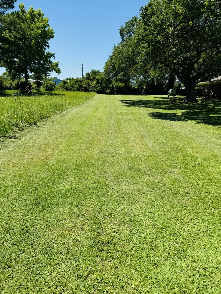 Professional outdoor landscaping experts serving Swansboro, NC - Professional Lawn Care Services of North Carolina