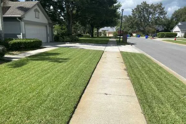 Local yard maintenance experts serving Swansboro, NC - Professional Lawn Care Services of North Carolina