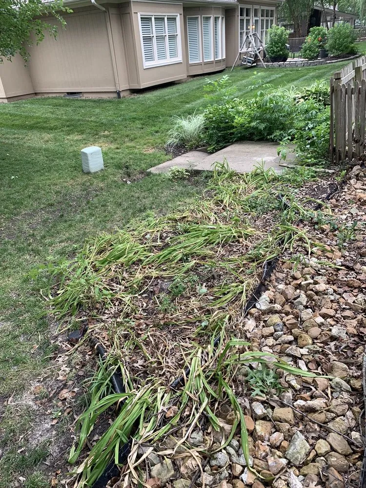 Custom lawn care service in Olathe, KS by Professional Lawn Care Services