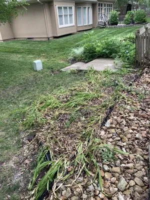 Professional Lawn Care Services Logo