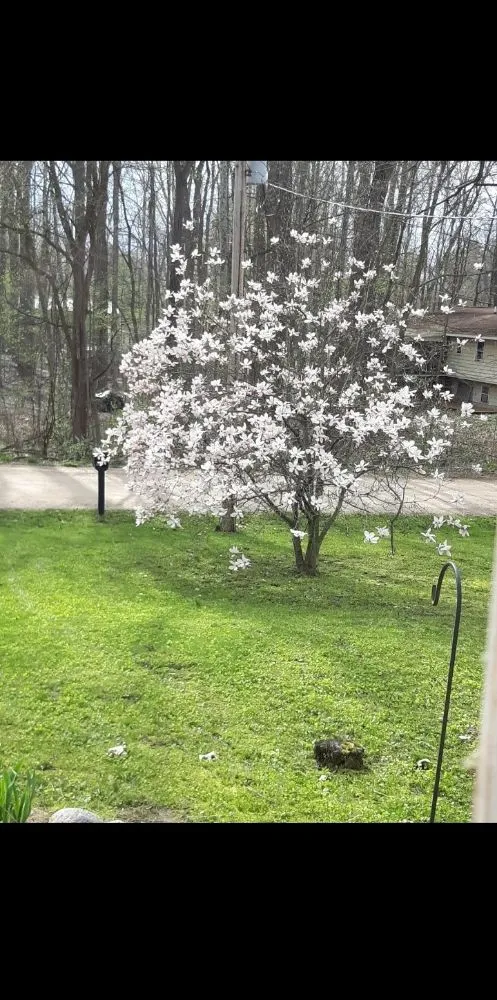 Reliable outdoor landscaping experts serving Paw Paw, MI - Professional Lawn Maintenance