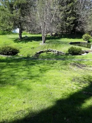 Professional Lawn Maintenance