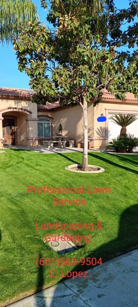 Custom landscaping services experts serving Bakersfield, CA - Professional Lawn Service