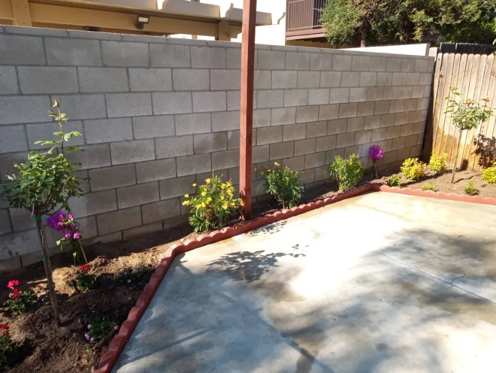 Local yard cleanup service for outdoor upgrades in Bakersfield, CA by Professional Lawn Service