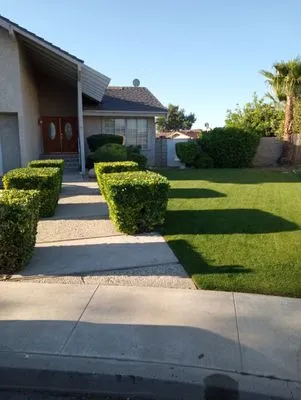 Professional Lawn Service Logo