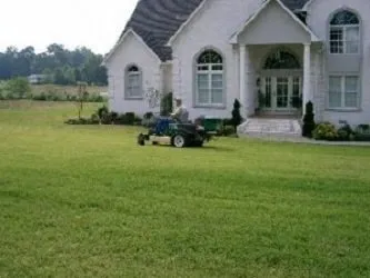 Professional yard cleanup service in Jackson, TN - Professional Lawn Service