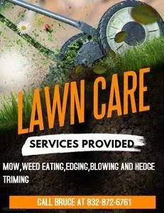 Professional lawn service Logo