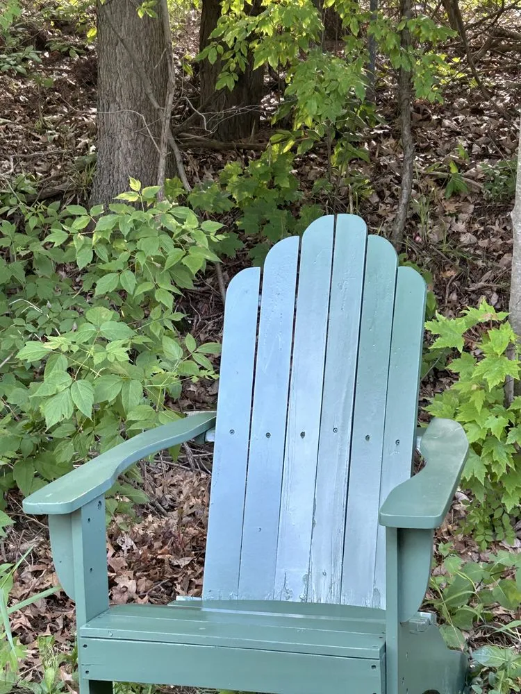 Professional yard maintenance for beautiful yards across Port Huron, MI - Professional Lawn Services