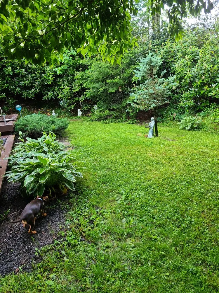 Affordable landscape installation in Newland, NC by Professional Lawn Solutions