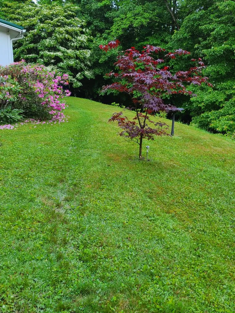Professional outdoor landscaping in Newland, NC - Professional Lawn Solutions