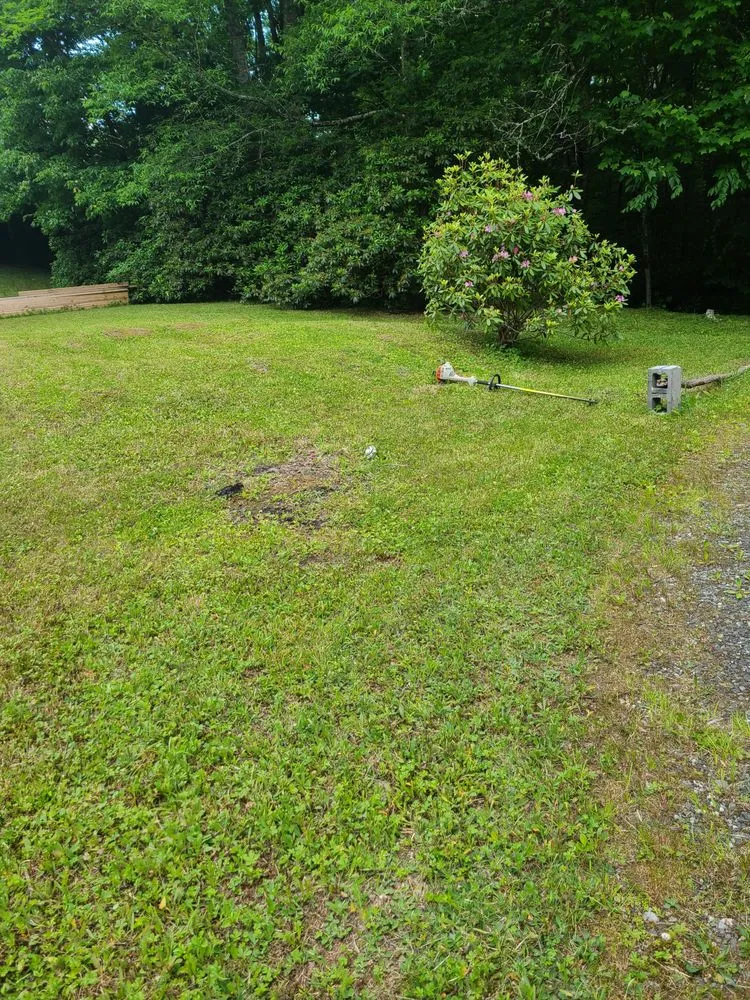 Reliable lawn mowing service experts serving Newland, NC - Professional Lawn Solutions